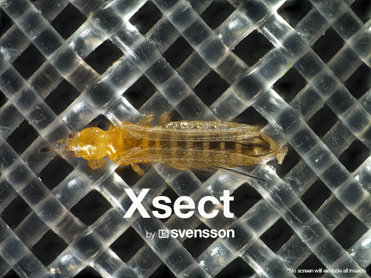 Xsect Xtreme Thrip Full Body.jpg