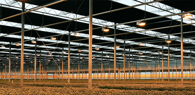 OBSCURA 10070 FR WB+B