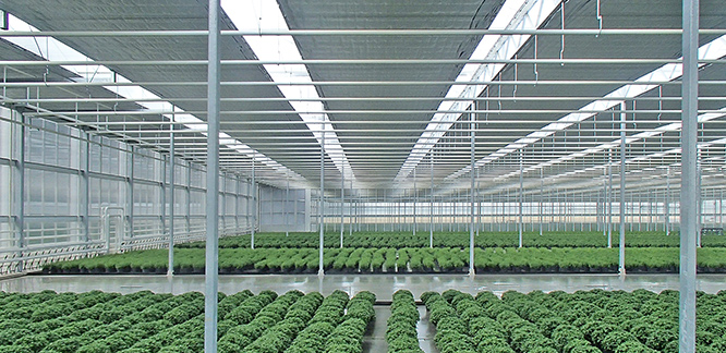 OBSCURA 10070 FR WB+BW