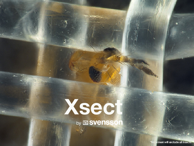 Xsect Xtreme Thrip.jpg