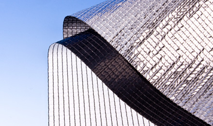 OBSCURA-10075 FB A+BW.JPG