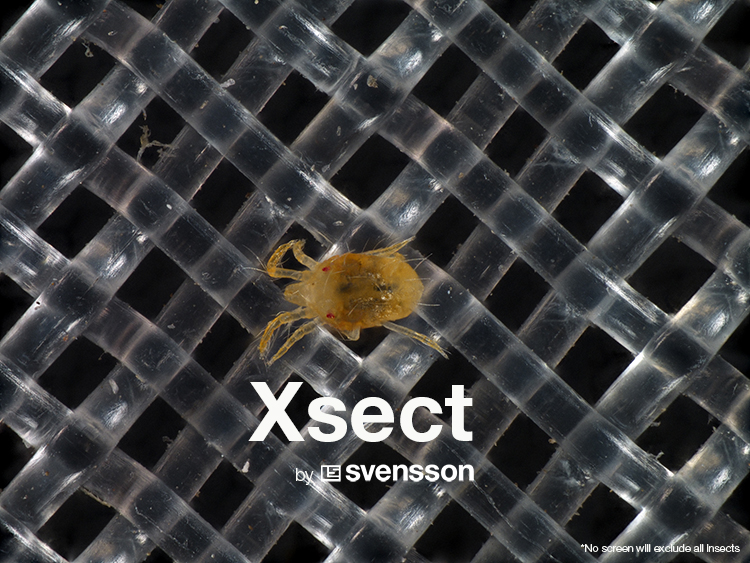 Xsect Xtreme Spidermite.jpg