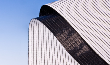 OBSCURA 10070 FR WB+BW.JPG